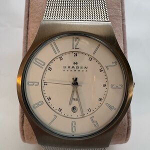 Skagen Stainless Steel Mesh Watch White Dial Date 24-Hour